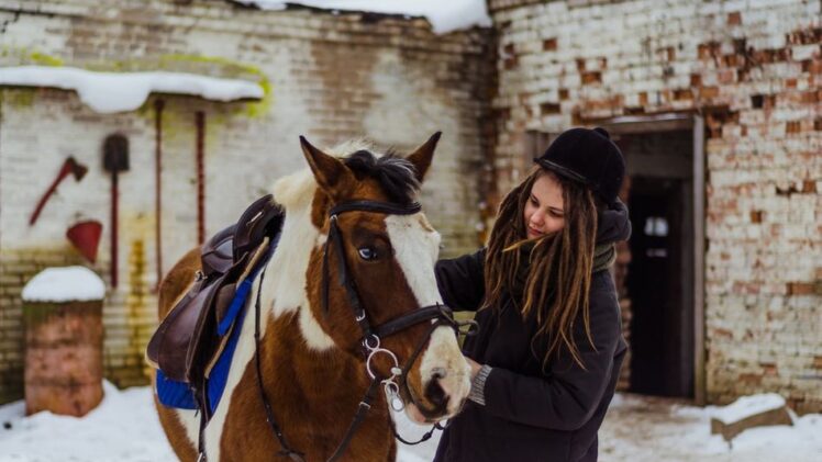 Horses Need Extra Care in Winter